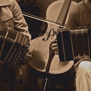 Meet your Posher, Lia